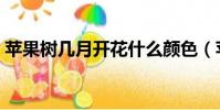 苹果树几月开花什么颜色(苹果树几月开花)