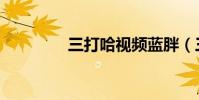 三打哈视频蓝胖(三打哈)