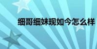 细哥细妹现如今怎么样(细哥细妹)