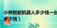 小帅智能机器人多少钱一台(小帅智能机器人多少钱)