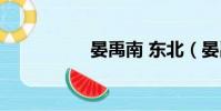 晏禹南 东北(晏禹南)