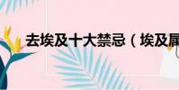 去埃及十大禁忌(埃及属于哪个国家)