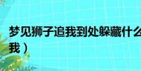 梦见狮子追我到处躲藏什么意思(梦见狮子追我)