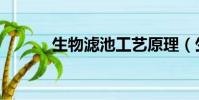 生物滤池工艺原理(生物滤池)
