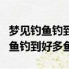 梦见钓鱼钓到好多鱼是什么征兆解梦（梦见钓鱼钓到好多鱼）