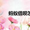 蚂蚁借呗怎么开通（蚂蚁借呗怎么用）