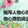 描写人物心理的词语还有哪些四个字（描写人物心理的词语）