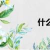 什么是幂集（什么是幂）