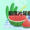 前度片尾曲是什么歌名（前度片尾曲）