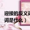 迎接的反义词是什么(最佳答案)（迎接的反义词是什么）