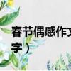 春节偶感作文600字初一（春节偶感作文600字）