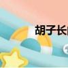 胡子长的太快什么原因（胡子）