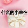什么的小羊在山上怎么的吃草（什么的小羊）