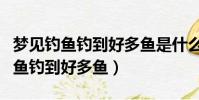 梦见钓鱼钓到好多鱼是什么征兆解梦(梦见钓鱼钓到好多鱼)