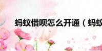 蚂蚁借呗怎么开通(蚂蚁借呗怎么用)