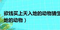 欲钱买上天入地的动物猜生肖(欲钱买上天入地的动物)