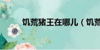 饥荒猪王在哪儿(饥荒猪王在哪)