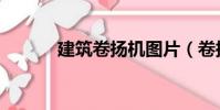 建筑卷扬机图片(卷扬机图片)