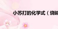 小苏打的化学式(烧碱的化学式)