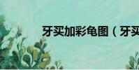 牙买加彩龟图(牙买加彩龟)