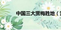 中国三大赏梅胜地(赏梅胜地)