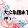大众集团旗下品牌大全图片（大众集团旗下品牌）