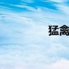 猛禽150参数（猛禽150）