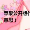 苹果公开版什么意思和快充（苹果公开版什么意思）