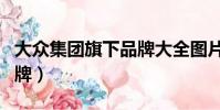 大众集团旗下品牌大全图片(大众集团旗下品牌)