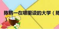 陈鹤一在哪里读的大学(陈鹤一是哪个学校的)