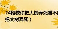 24招教你把大树弄死看不出痕迹(24招教你把大树弄死)