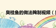 臭桂鱼的做法腌制视频(臭桂鱼的做法)