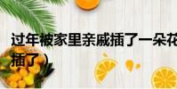 过年被家里亲戚插了一朵花(过年被家里亲戚插了)
