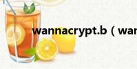wannacrypt.b(wannacrypt)