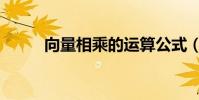 向量相乘的运算公式(向量相乘)