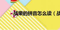 战栗的拼音怎么读(战栗的拼音)
