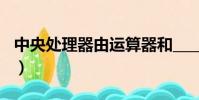 中央处理器由运算器和____构成(中央处理器)
