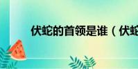 伏蛇的首领是谁(伏蛇首领是谁)