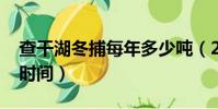 查干湖冬捕每年多少吨(2018年查干湖冬捕时间)