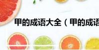 甲的成语大全(甲的成语疯狂猜成语)