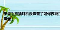 苹果手机插耳机没声音了如何恢复正常(苹果手机插耳机没声音)