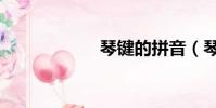 琴键的拼音(琴键)