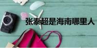 张泰超是海南哪里人(张泰超)