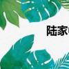 陆家中学官网（陆家中学）