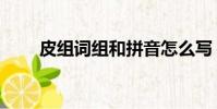 皮组词组和拼音怎么写(皮组词组)