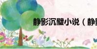 静影沉璧小说(静影沉璧)