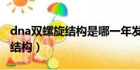 dna双螺旋结构是哪一年发现的(dna双螺旋结构)