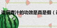 道田青汁的功效是真是假(道田青汁的功效)