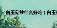 白玉菇炒什么好吃(白玉菇怎么做好吃)