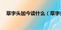 草字头加今读什么(草字头加今念什么)